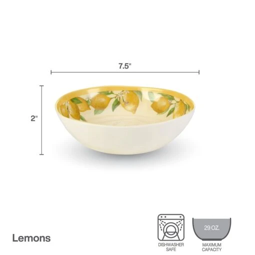 Lemons Set Of 4 Outdoor Melamine Soup Cereal Bowls -Kitchen Supplies Store 5293373 bowl infographic