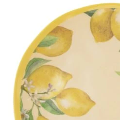 Lemons Set Of 4 Outdoor Melamine Dinner Plates -Kitchen Supplies Store lemons set of 4 melamine dinner plates K45293375 3